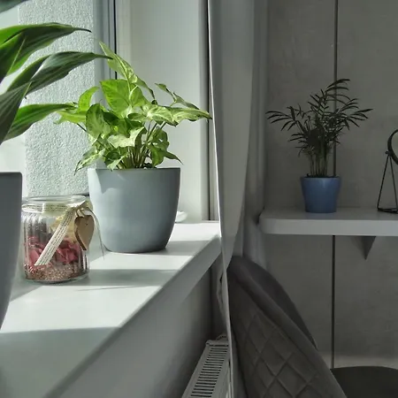 Apartment Urban - Free Parking, Energy, Modern Style Bratislava